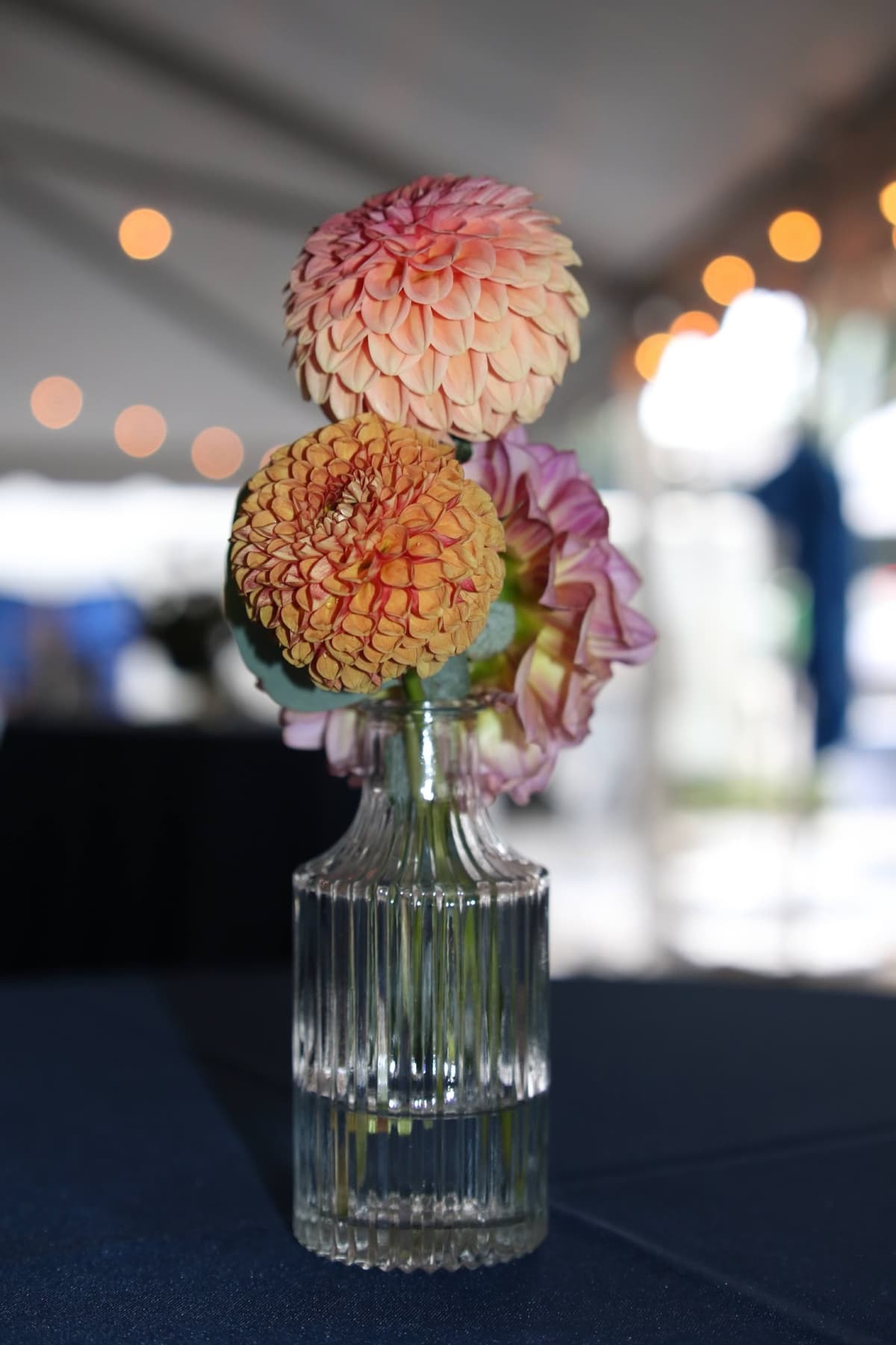 A vertical close-up of three dahlia flowers in peach, orange, and lavender tones arranged in a small, clear ribbed glass vase on a dark blue tablecloth, set against a blurred background with warm bokeh lights.